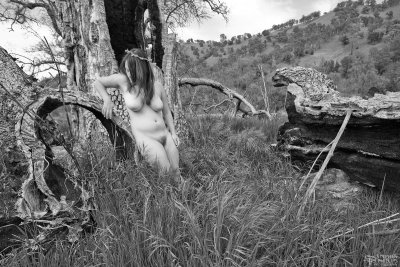 Nude at Fallen Oak