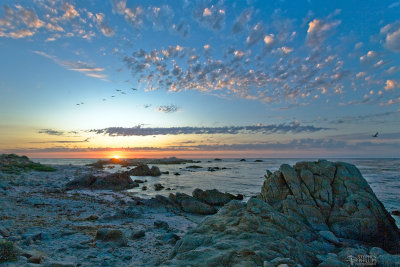 Pacific Grove Sunset