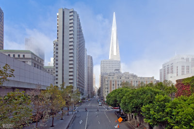 Morning Along Clay Street