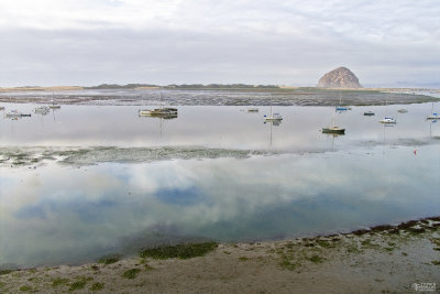 A Minus Tide at Moro bay