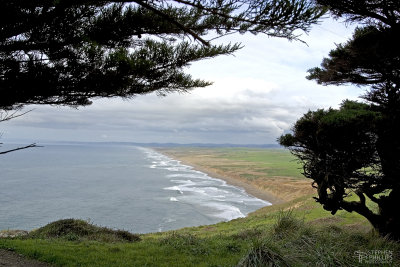 View North of Point Reyes ( from the top )