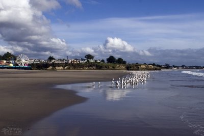 Crowded Beach