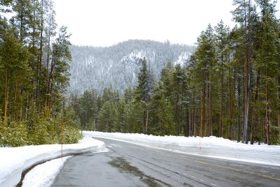 Yellowstone 4