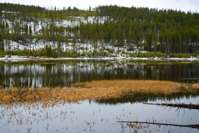 Yellowstone 5