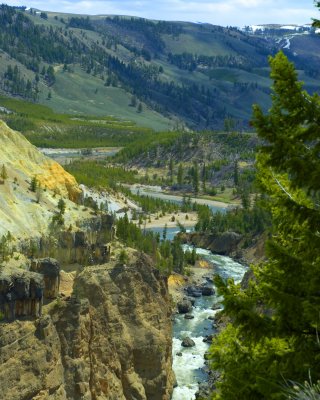 Yellowstone 6