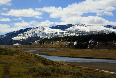 Yellowstone