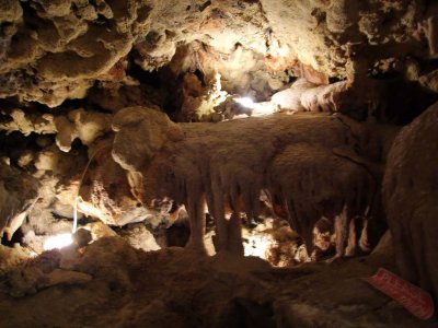 sheep in cave