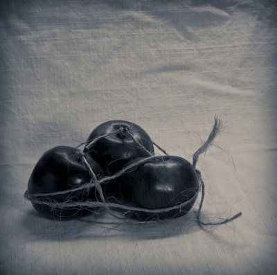 Rope Study1.jpg