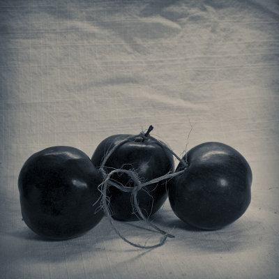 Rope Study2.jpg