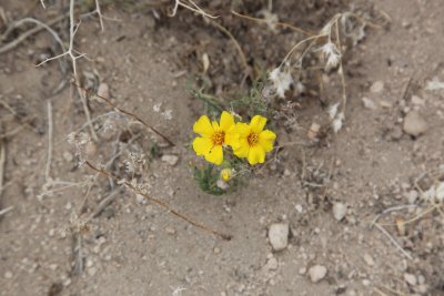 IMG_6765.JPG