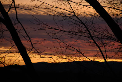 _DSC0038.jpg