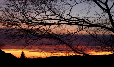 _DSC0042PS.jpg