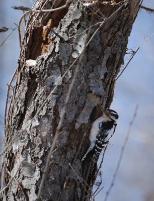 Park_Mar032009_0017.jpg