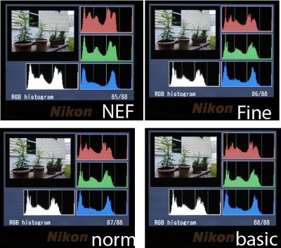 Histogram.jpg