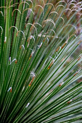 DSC08785_web.jpg