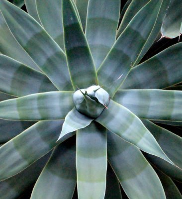DSC09023_web.jpg