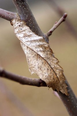 DSC09304_web.jpg