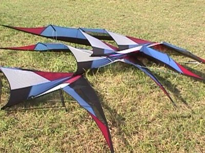 bb410175518.jpg