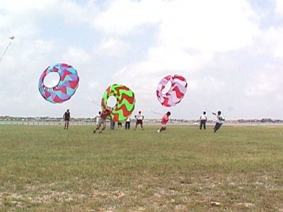 rp516135038.jpg