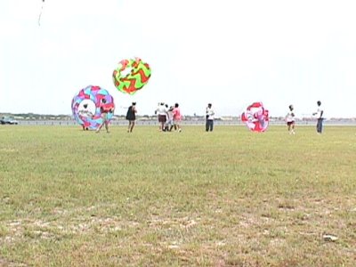 rp516135130.jpg
