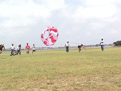 rp516135204.jpg