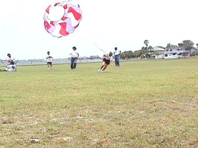 rp516135218.jpg