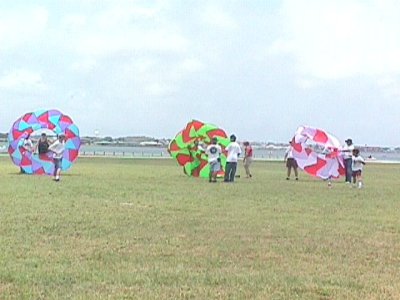 rp516135354.jpg
