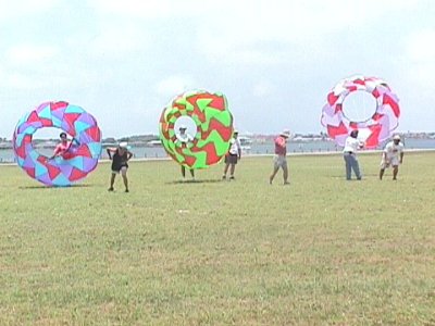 rp516135810.jpg