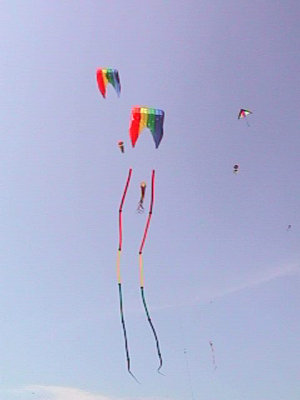 220124120.jpg