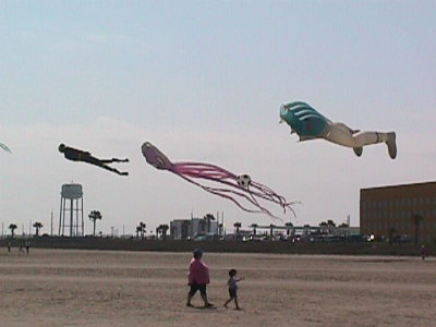 220124154.jpg