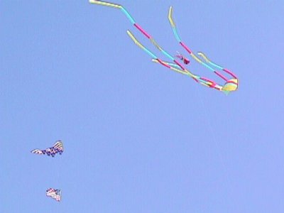 220124214.jpg