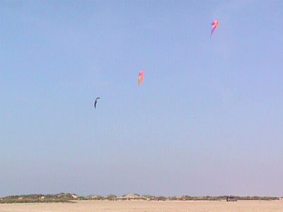 220125958.jpg