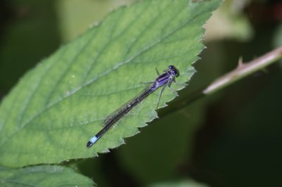 g1/99/900599/3/125664849.LcW8aPoD.jpg