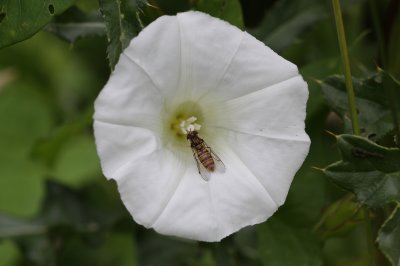 IMG_3666.JPG