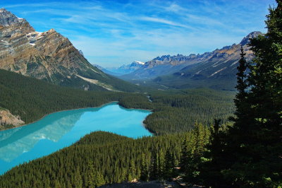 Peyto Lake along Icefields Parkway, 