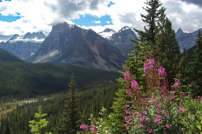 Near Lake Louise