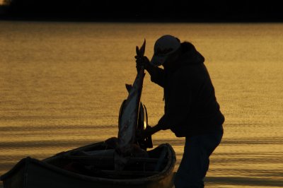 DSC_6619.JPG