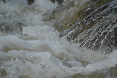 DSC_6674.JPG