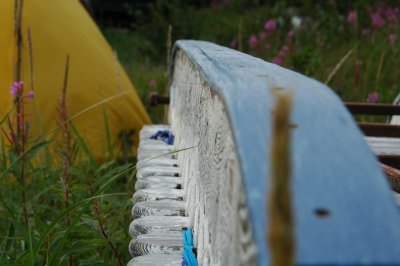 DSC_6863.JPG