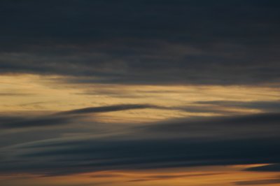 DSC_7130.JPG