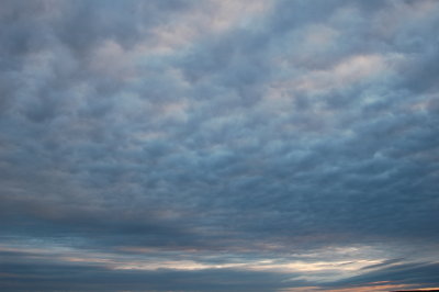 DSC_7151.JPG