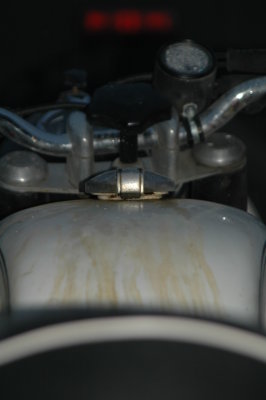 DSC_7185.JPG
