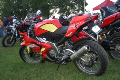IMG_4495.jpg