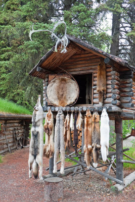 Athabascan Pelt Display