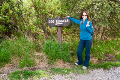 Denali Nat'l Park Sled Dogs