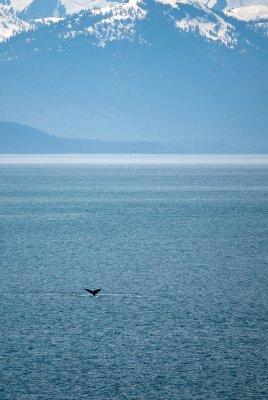 06 17 2010 273sm.jpg
