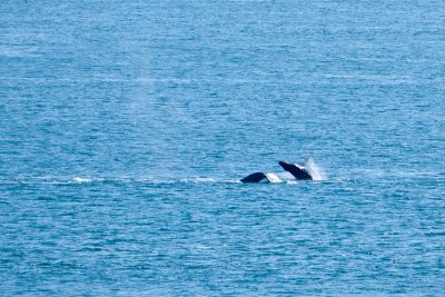 At Sea -- Alaska 2010