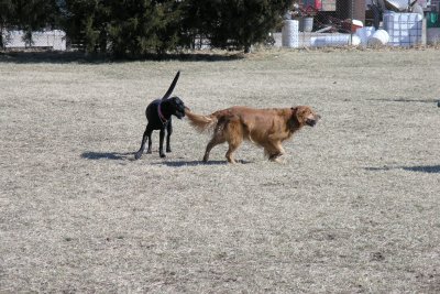 Cuda & Lucy
