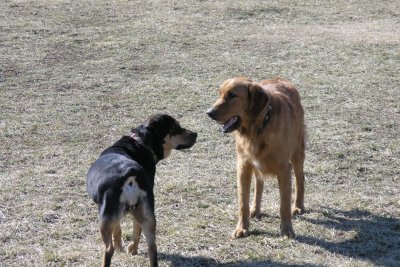 Best friends Katie & Chopper