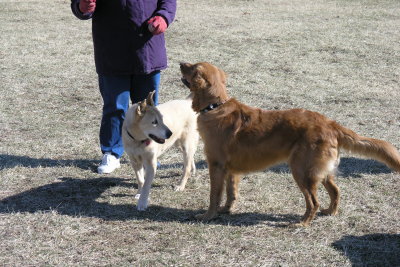 Arthur & Chopper